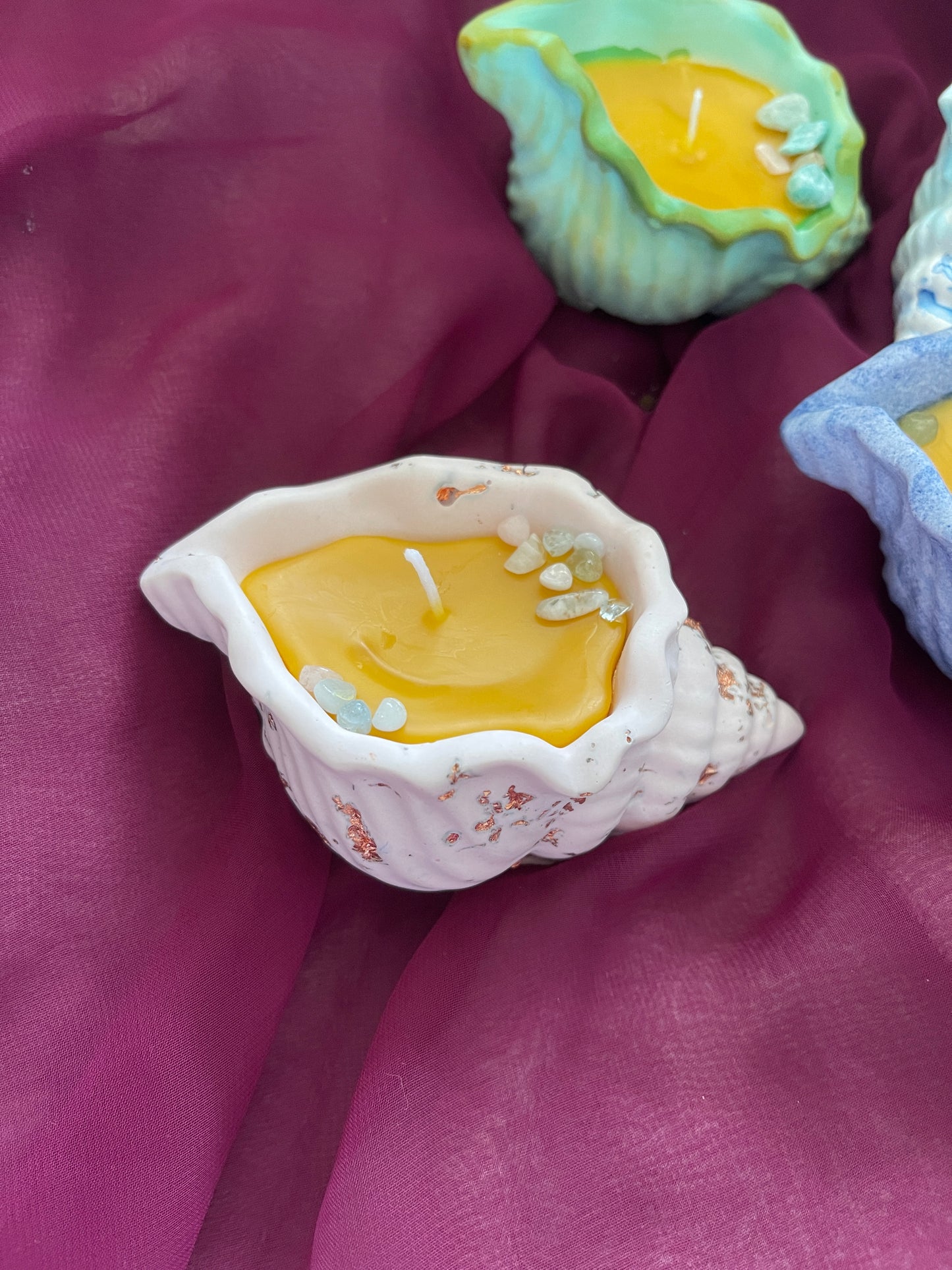 Bougies coquillages