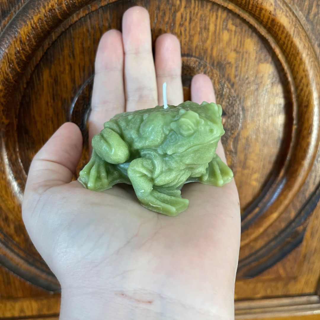 Bougie Crapaud
