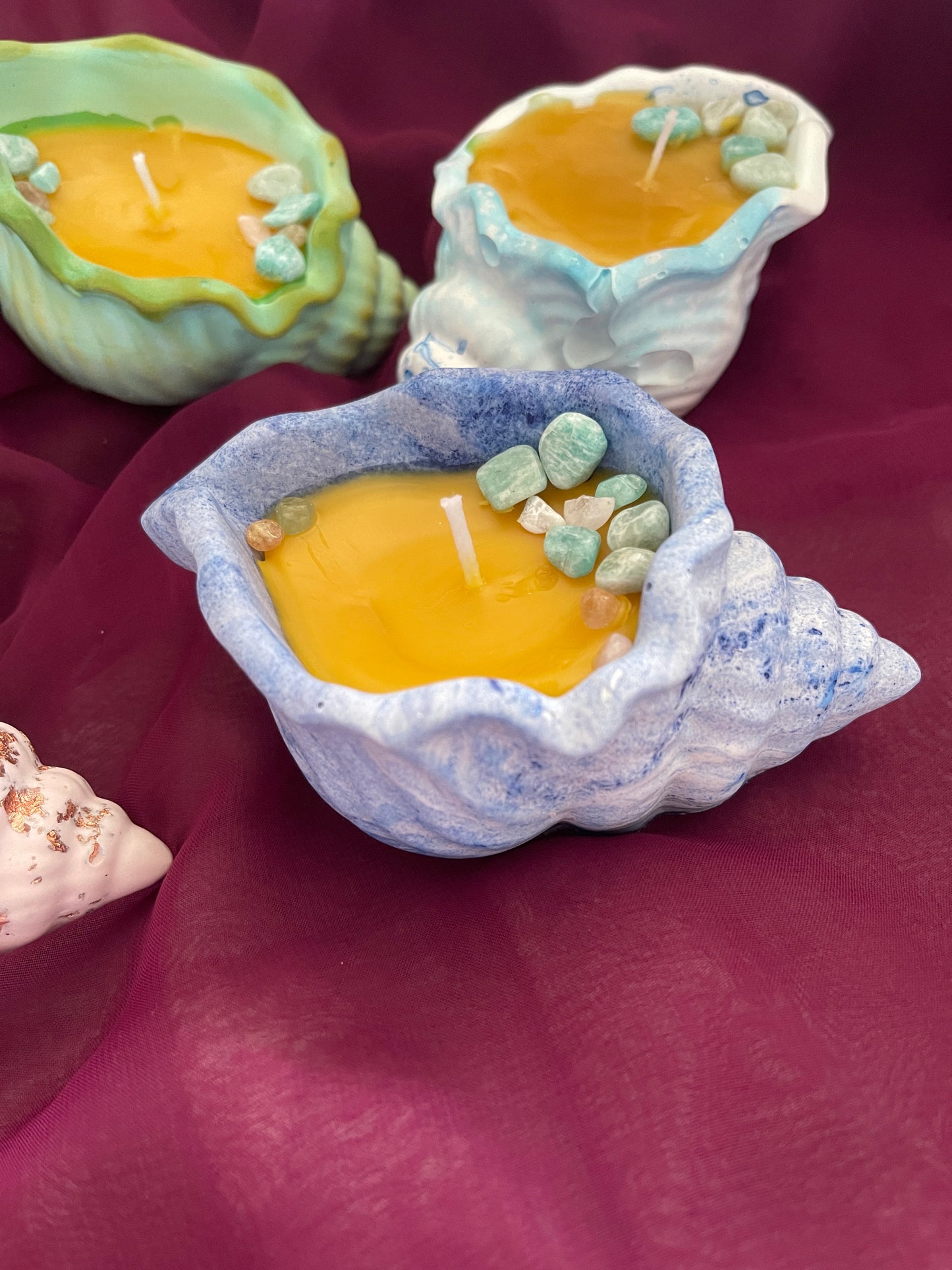 Bougies coquillages