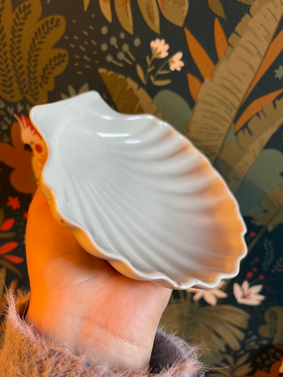 Coupelle coquillage