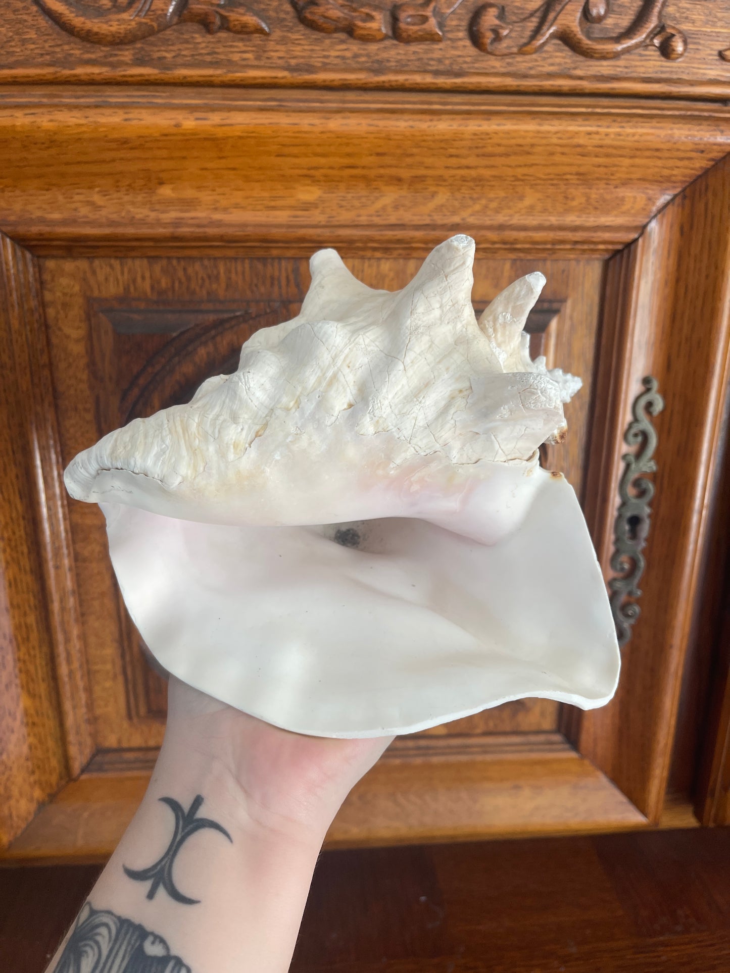 Coquillage
