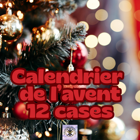 Calendrier de l'avent 12 cases