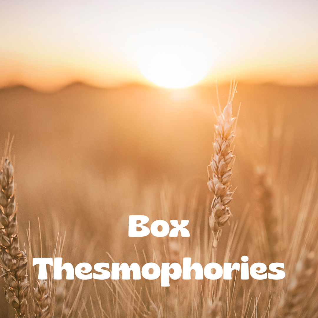 Box Thesmophories