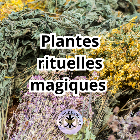 Plantes rituelles magiques