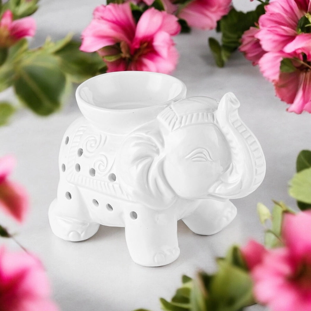 Bruleur fondant Eléphant blanc