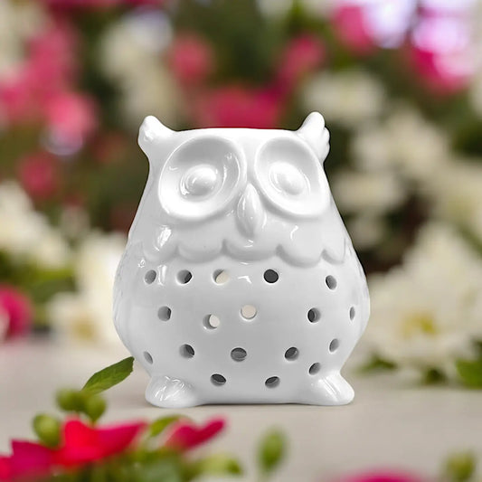 Bruleur fondant chouette blanche