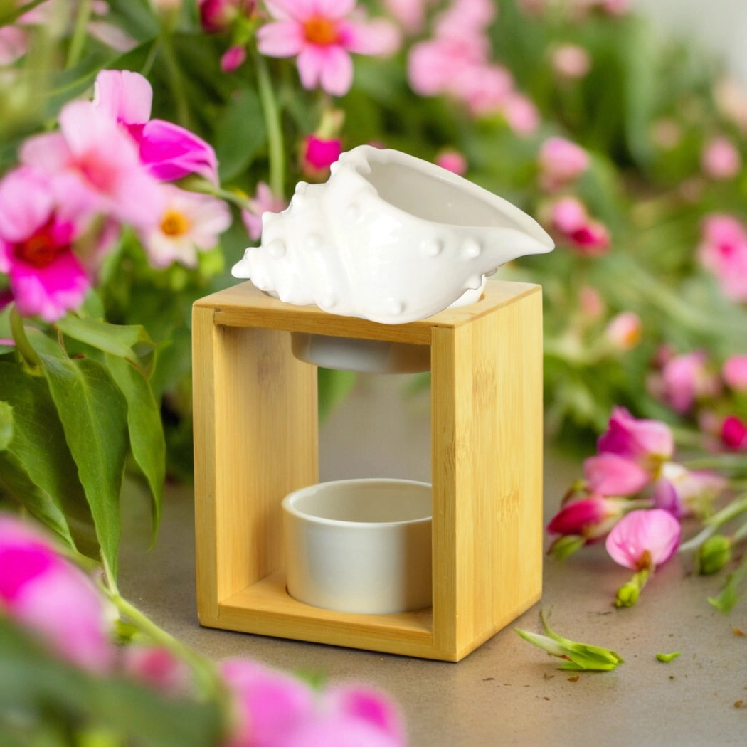 Bruleur fondant coquillage