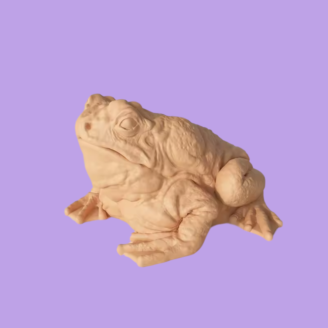 Bougie Crapaud