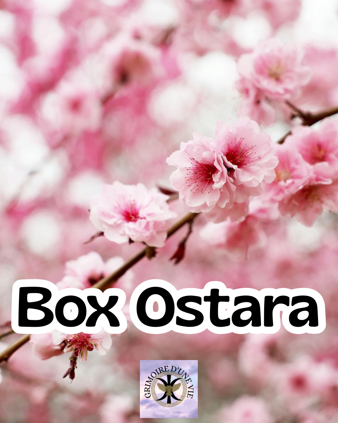 Box Ostara